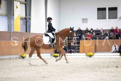 0102-160139-Dressurreiter-Herbst25