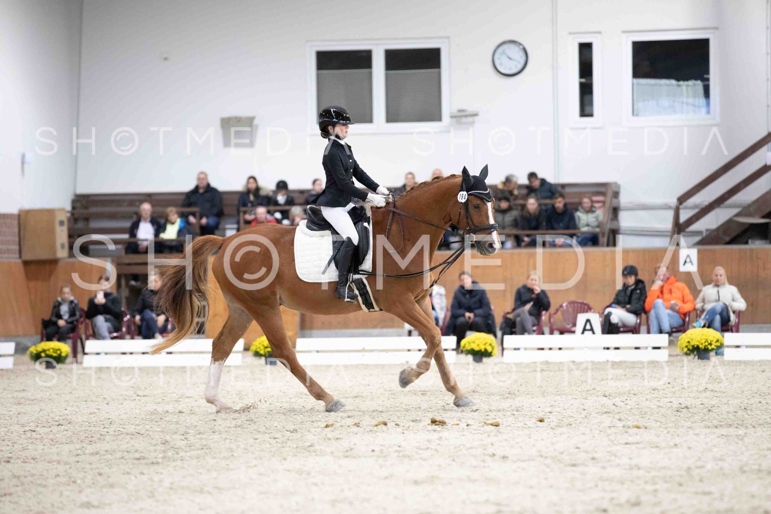 0103-160140-Dressurreiter-Herbst25