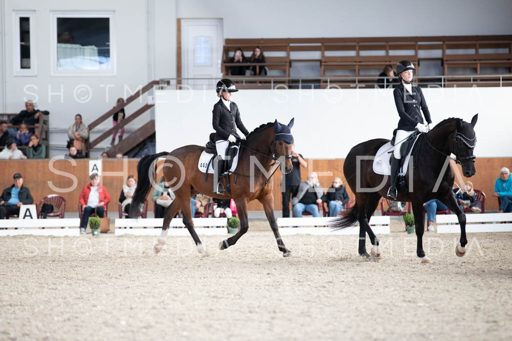 0103-250607-171030-DressurreiterWB