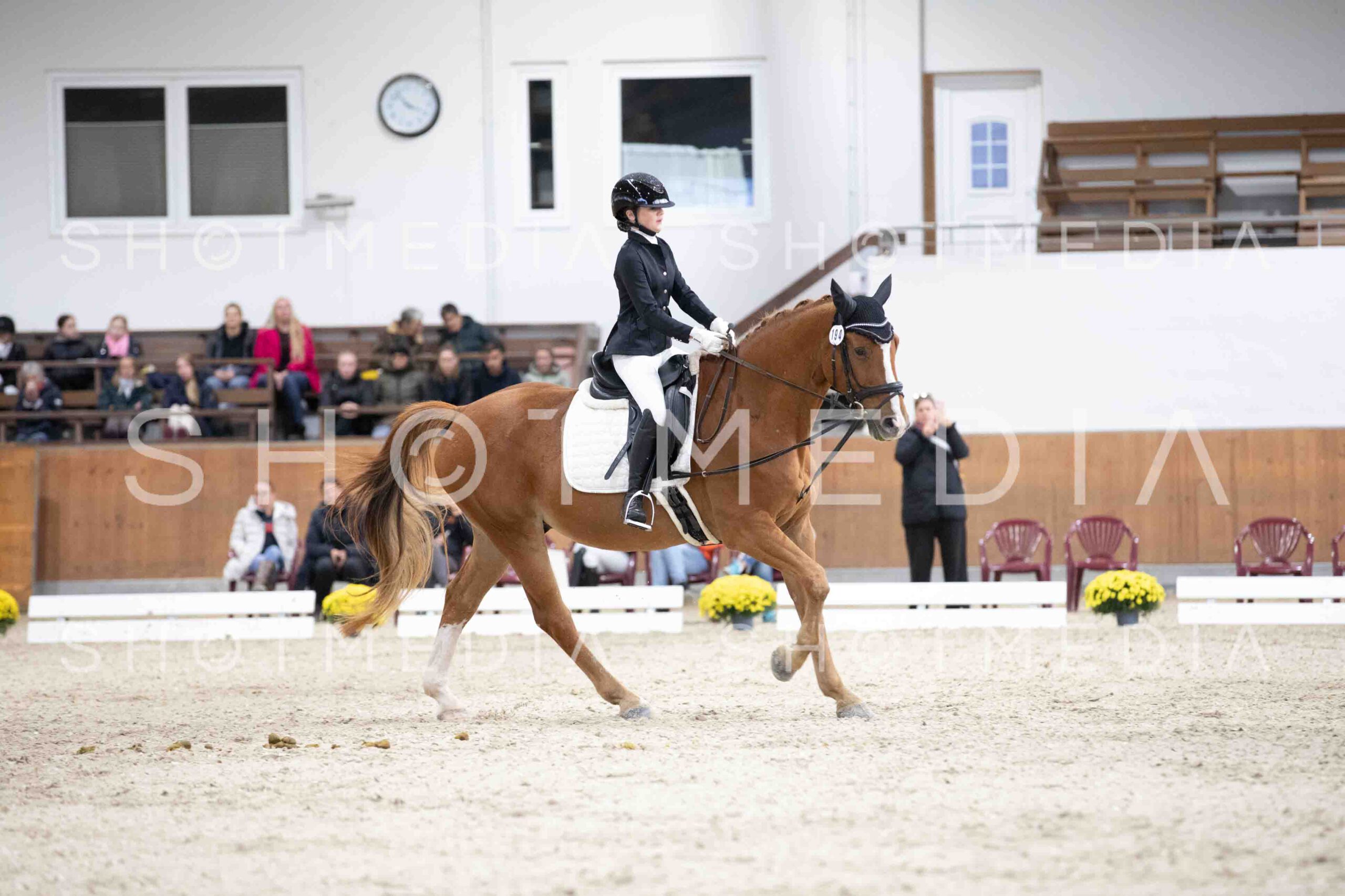 0104-160141-Dressurreiter-Herbst25