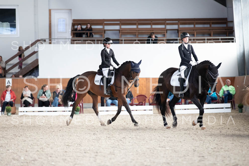 0104-250607-171030-DressurreiterWB