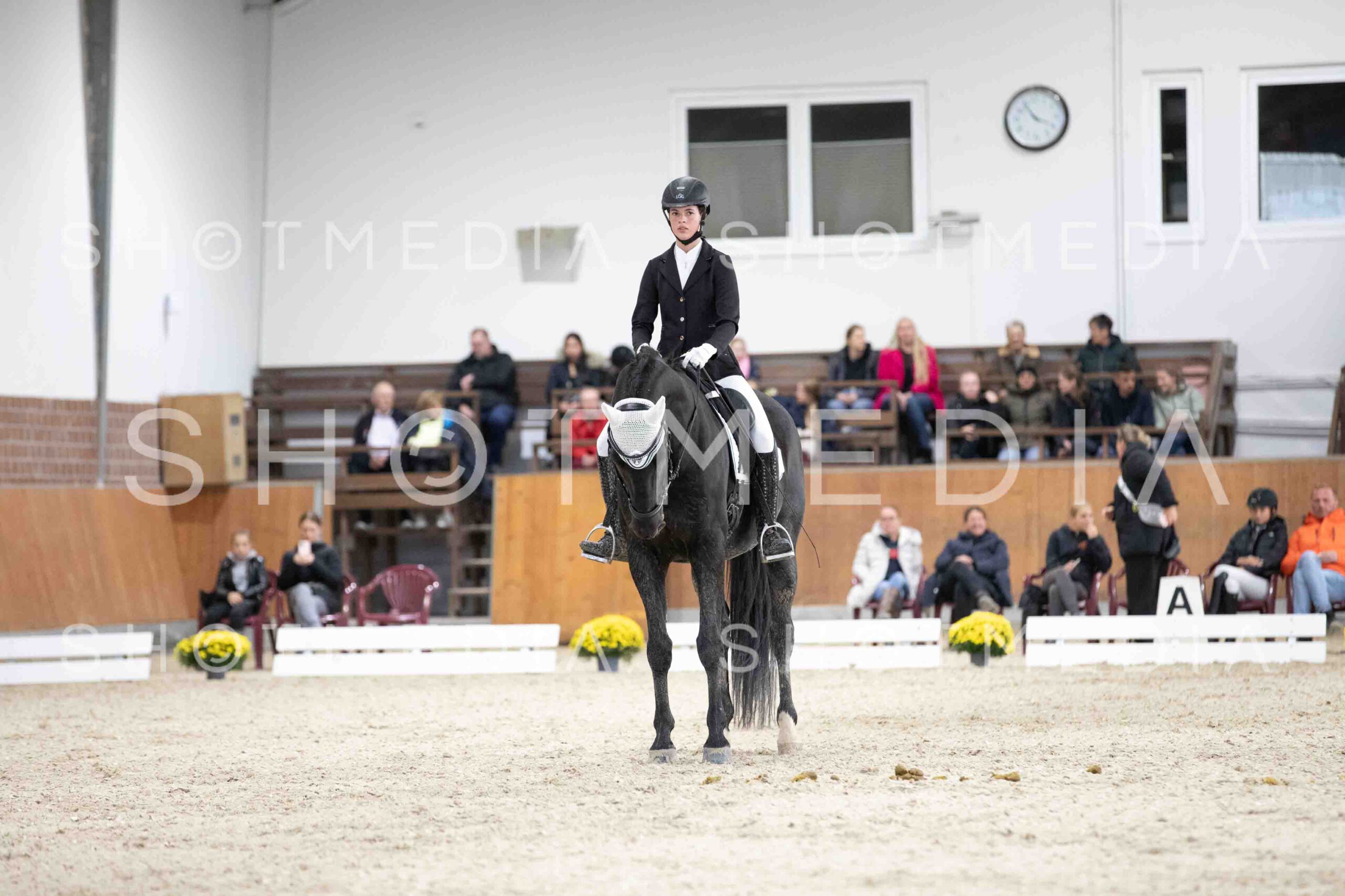 0105-160226-Dressurreiter-Herbst25