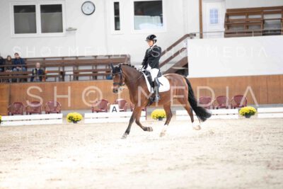 0106-122952-KlasseLKandare-Herbst25