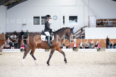 0106-250607-171051-DressurreiterWB