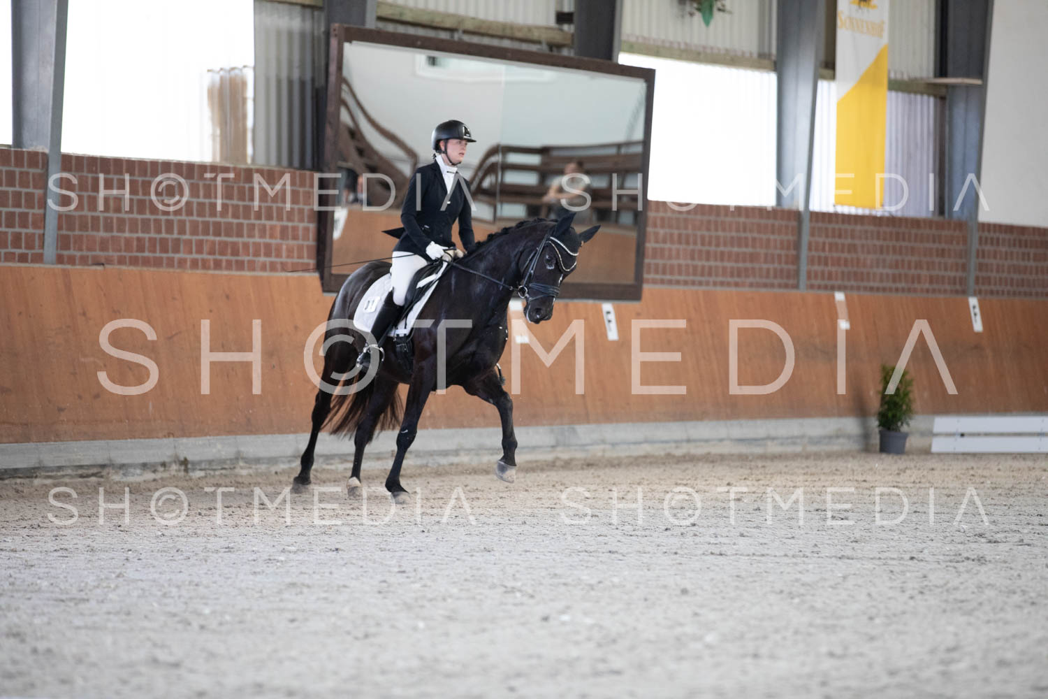 0106-RSV26-KLLtrense