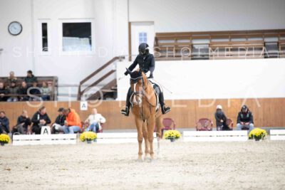 0107-160233-Dressurreiter-Herbst25