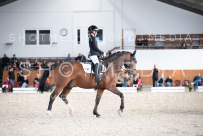 0107-250607-171051-DressurreiterWB