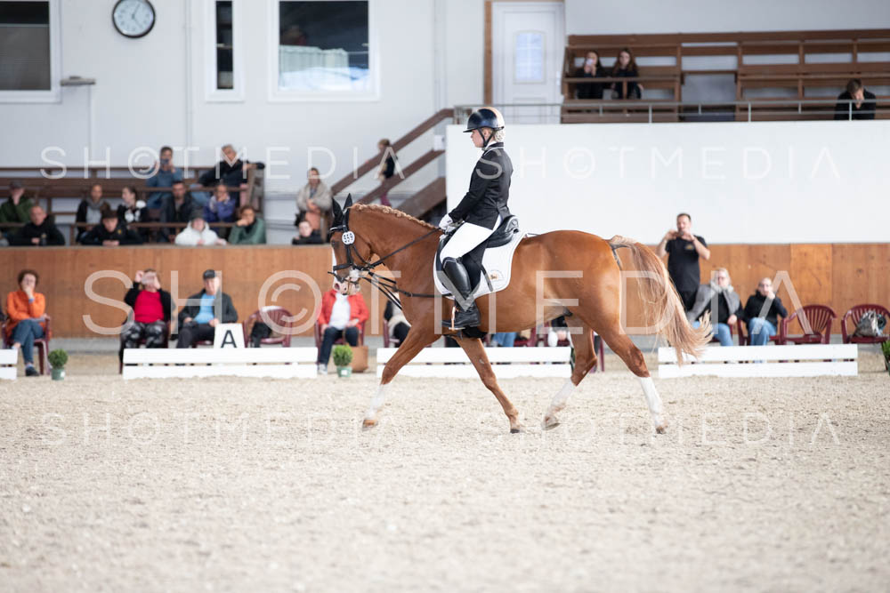 0108-250607-171054-DressurreiterWB