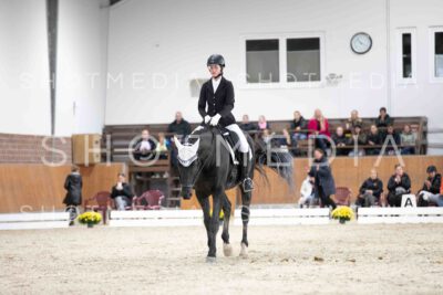 0109-160238-Dressurreiter-Herbst25