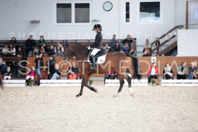 0111-250607-171058-DressurreiterWB