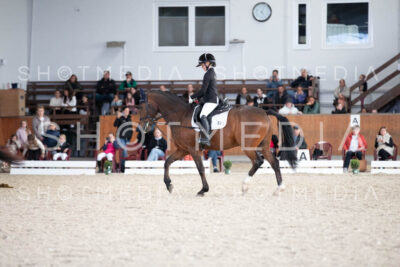 0112-250607-171058-DressurreiterWB