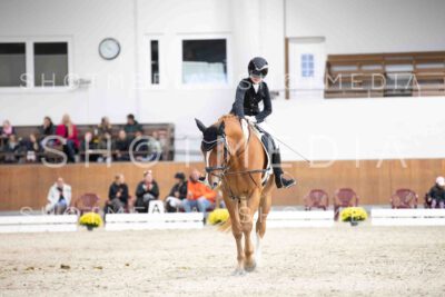 0113-160241-Dressurreiter-Herbst25