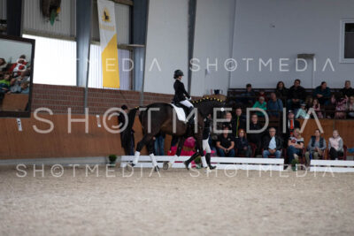 0113-250607-155833-Fuehrzuegel