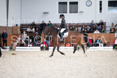 0113-250607-171059-DressurreiterWB