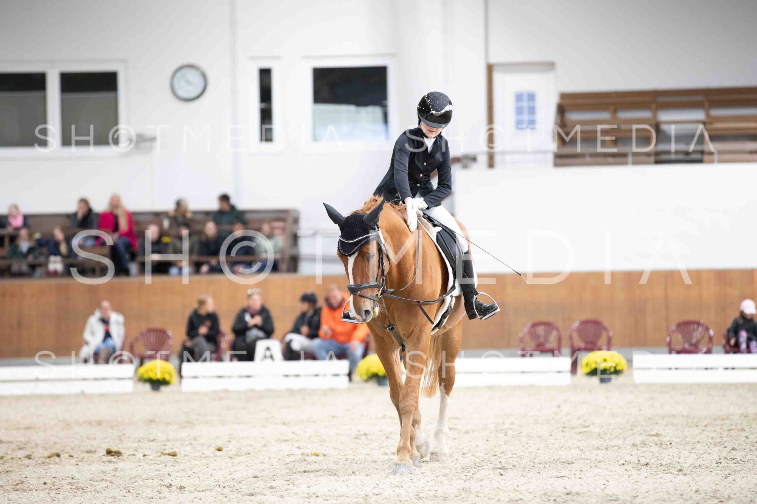 0114-160241-Dressurreiter-Herbst25