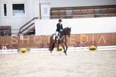 0115-123122-KlasseLKandare-Herbst25