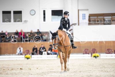 0115-160242-Dressurreiter-Herbst25