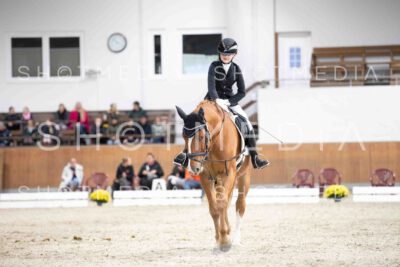 0116-160242-Dressurreiter-Herbst25