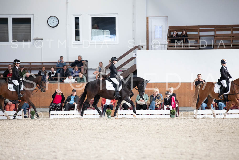 0116-250607-171107-DressurreiterWB