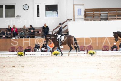 0117-160508-Dressurreiter-Herbst25