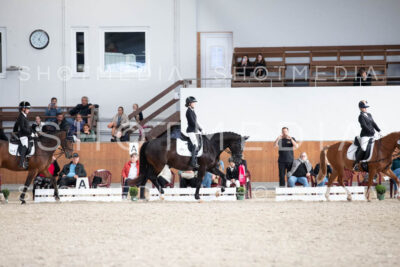 0117-250607-171108-DressurreiterWB