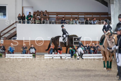 0118-250607-155837-Fuehrzuegel