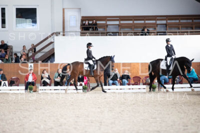 0119-250607-171109-DressurreiterWB