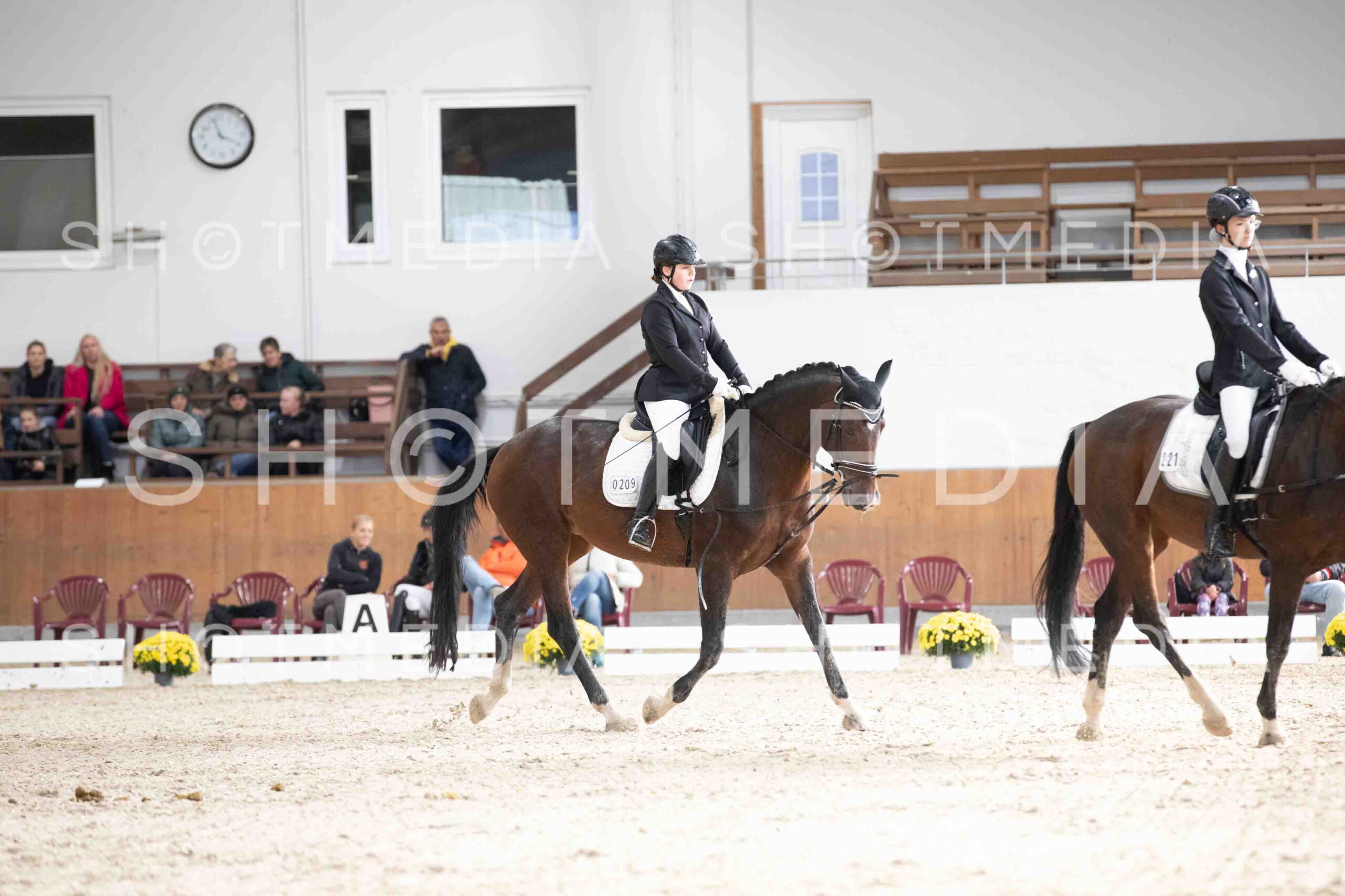 0120-160520-Dressurreiter-Herbst25