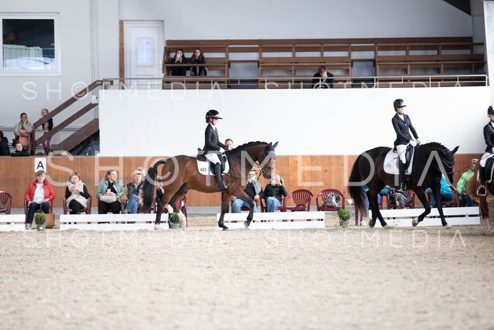 0120-250607-171110-DressurreiterWB