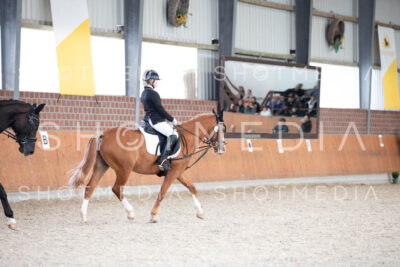 0121-250607-171132-DressurreiterWB