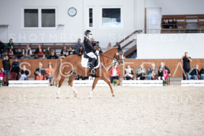 0125-250607-171158-DressurreiterWB