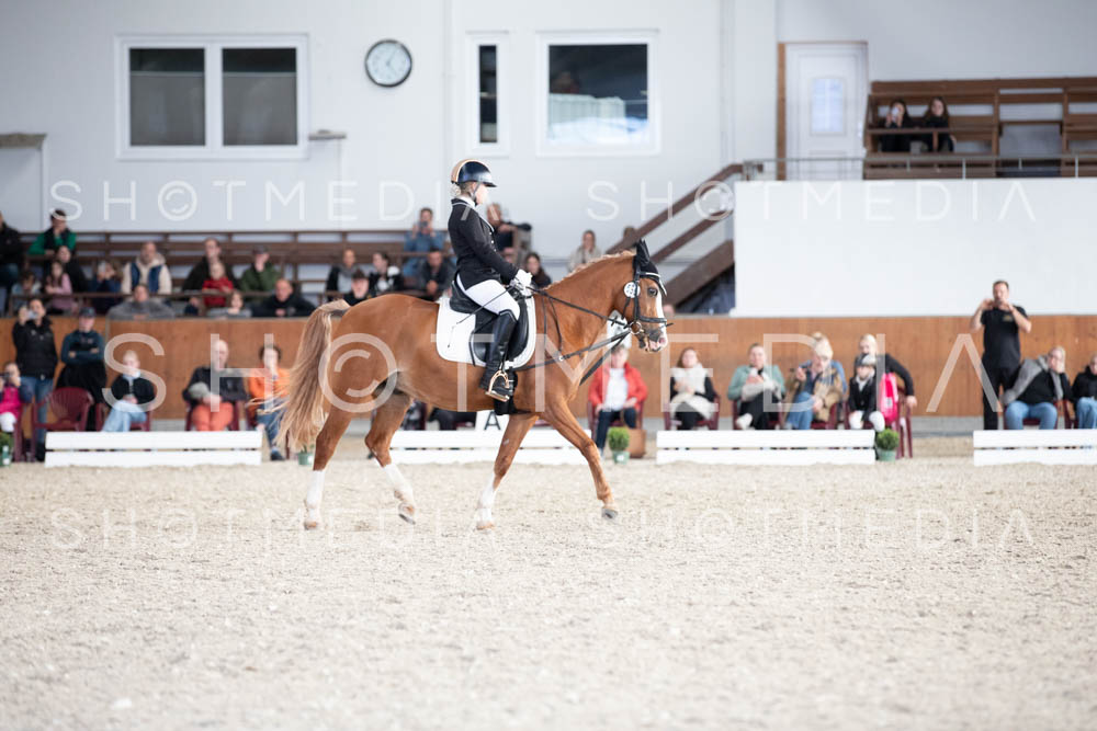 0125-250607-171158-DressurreiterWB