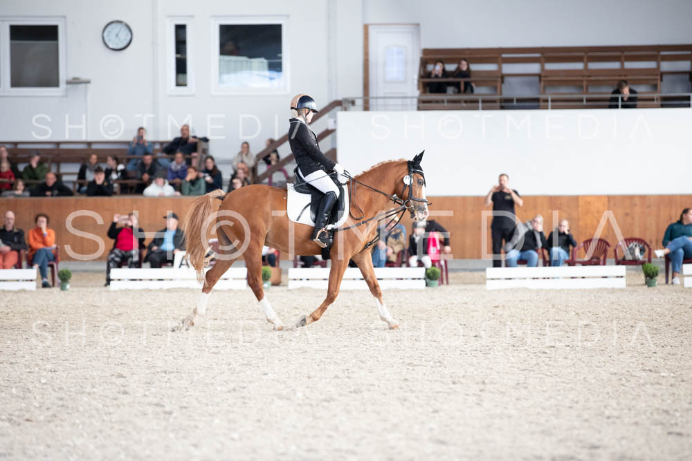 0126-250607-171159-DressurreiterWB