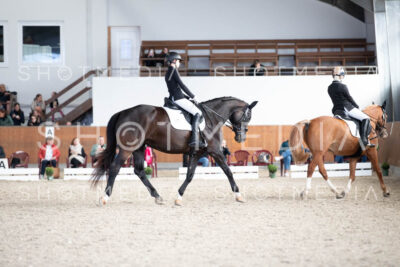 0127-250607-171201-DressurreiterWB