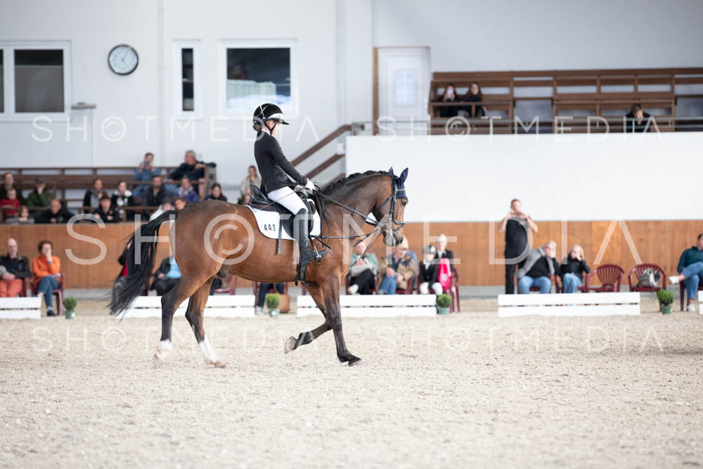 0128-250607-171202-DressurreiterWB