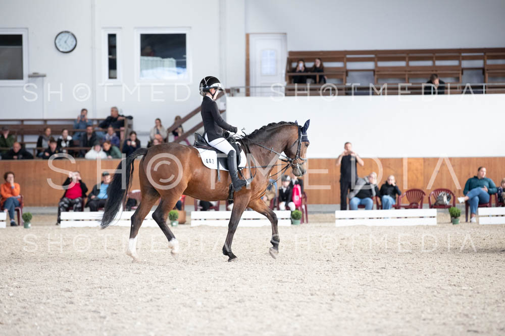 0129-250607-171202-DressurreiterWB