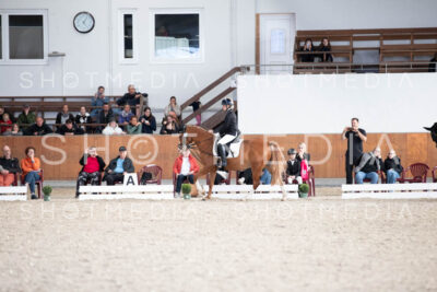 0130-250607-171229-DressurreiterWB