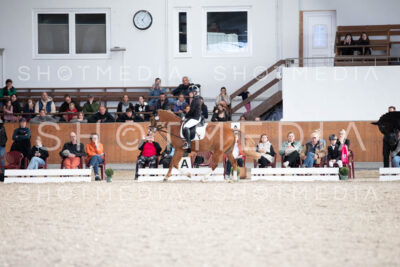 0131-250607-171230-DressurreiterWB