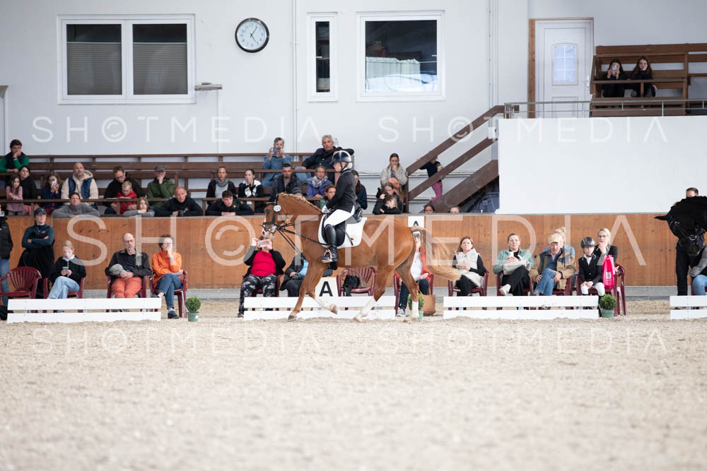 0131-250607-171230-DressurreiterWB