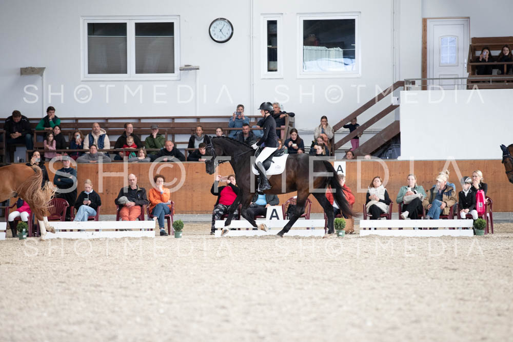 0132-250607-171231-DressurreiterWB