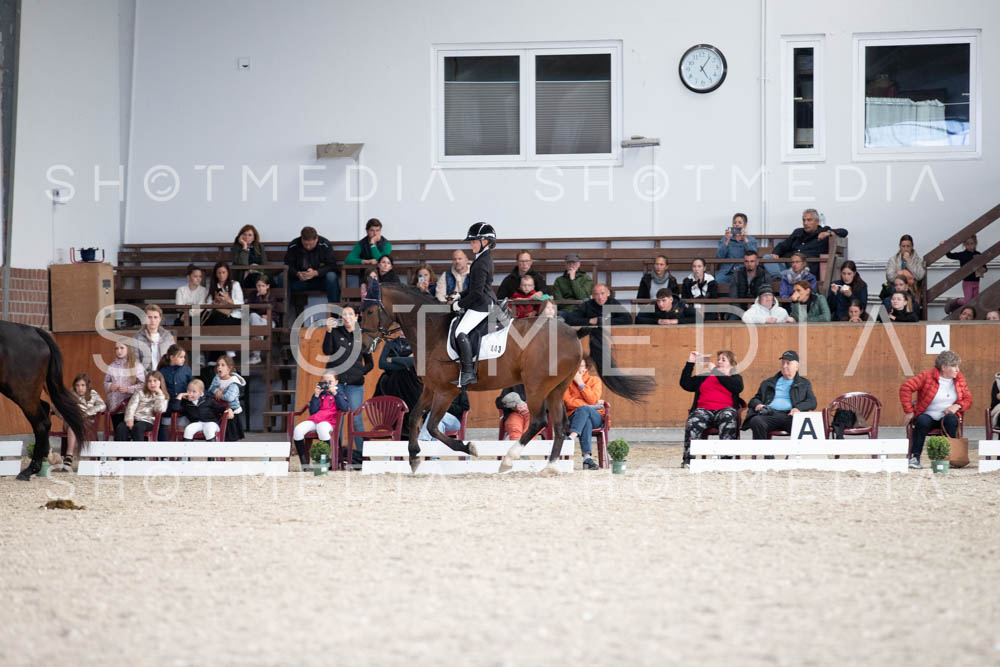 0133-250607-171233-DressurreiterWB