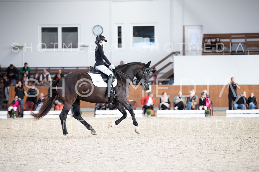 0134-250607-171240-DressurreiterWB