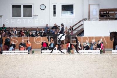 0135-250607-171248-DressurreiterWB