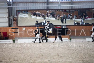 0136-250607-161419-Fuehrzuegel