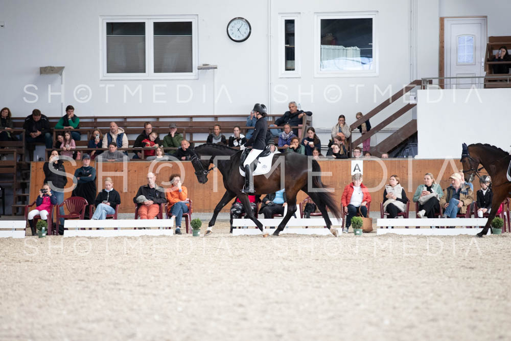 0136-250607-171248-DressurreiterWB