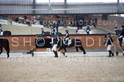 0137-250607-161421-Fuehrzuegel