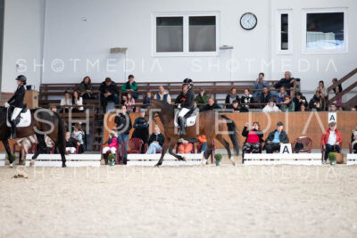 0137-250607-171250-DressurreiterWB