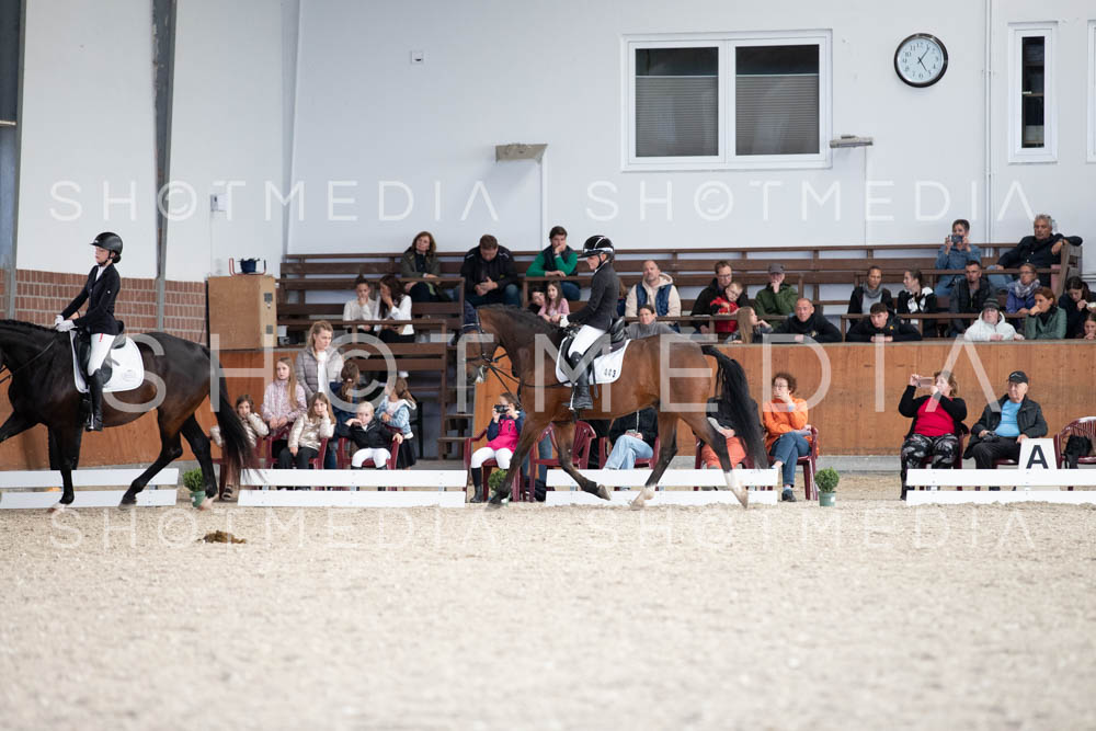 0138-250607-171250-DressurreiterWB