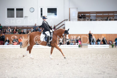 0139-250607-171417-DressurreiterWB