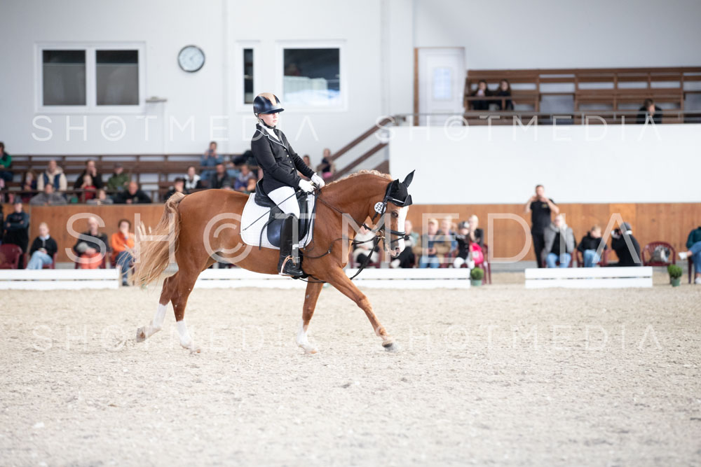 0139-250607-171417-DressurreiterWB